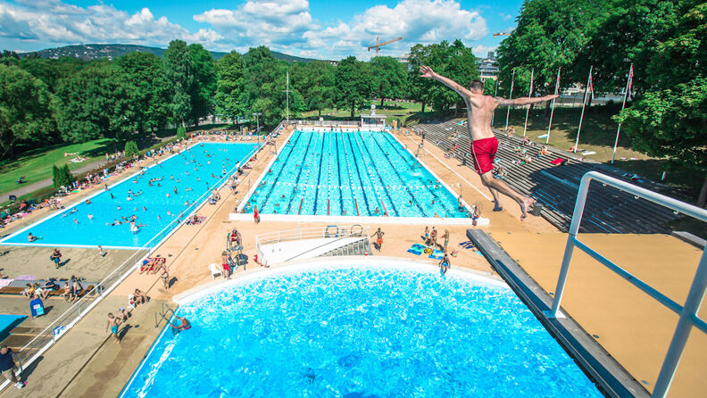 SEX ESCORT in Oslo Sluts in Oslo